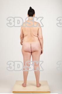 Body texture of Gevana 0031